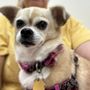 Photo of Ayers Animal Hospital