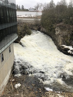 Elora Gorge Conservation Area by null