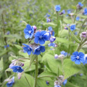pretty parks and picnic spaces
