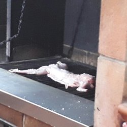 Bodegòn el Empacho - Kaninchen auf dem Grill