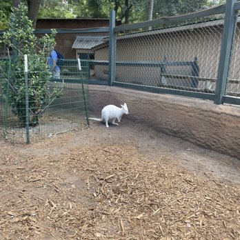 Bee City Zoo - Petting Zoos Near Me - Cottageville, South Carolina