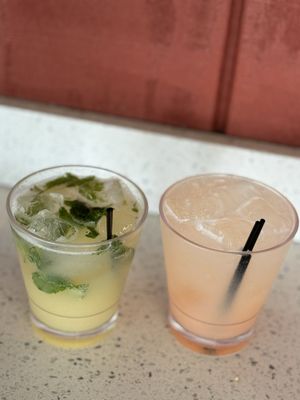 Whiskers & Wine Cat Cafe by null