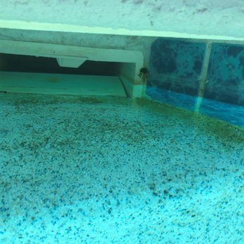 ASP Americas Swimming Pool Company - Pool Cleaners Near Me ASP Americas Swimming Pool Company - Pool Cleaners Near Me