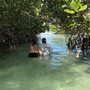 Sea Monkey Charters