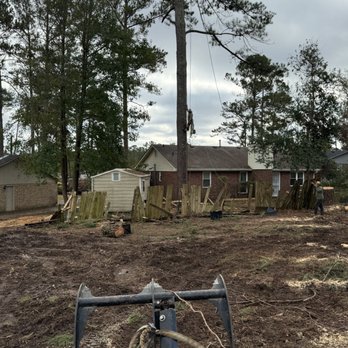 Southern Roots Tree Services - Tree Services Near Me - Watkinsville, Georgia Southern Roots Tree Services - Tree Services Near Me - Watkinsville, Georgia