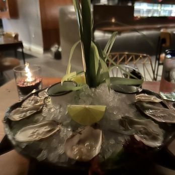 Sumomaya - Dozen oysters - Mexican Near Me - Scottsdale, Arizona Sumomaya - Dozen oysters - Mexican Near Me - Scottsdale, Arizona