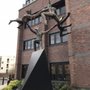 Photo of Danse Gwenedour