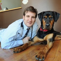 Top 10 Best In Home Pet Euthanasia In Cherry Hill Nj Last Updated November 2020 Yelp