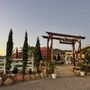 Rustic Ridge Vineyards
