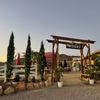 Rustic Ridge Vineyards gift card