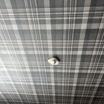 Wallpapering by Alex - Office ceiling - Wallpapering Near Me - Los Angeles, California Wallpapering by Alex - Office ceiling - Wallpapering Near Me - Los Angeles, California