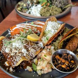 Tumerico - Chefs custom plate with two tacos, tamale and mole enchiladas