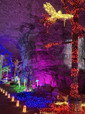 Lights Under Louisville by null