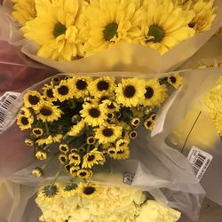 Star Market