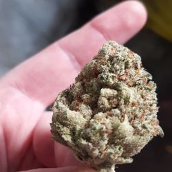 Good Chemistry - Proprietary strain, Novocaine.