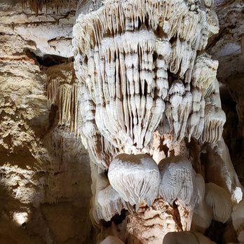 Natural Bridge Caverns - Makes me think of something you'd see at the bottom of the ocean instead of inside a cavern. - Tours Near Me - San Antonio, Texas Natural Bridge Caverns - Makes me think of something you'd see at the bottom of the ocean instead of inside a cavern. - Tours Near Me - San Antonio, Texas