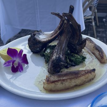 Barbayani Taverna - Lamb Chops - Greek Near Me - Los Altos, California Barbayani Taverna - Lamb Chops - Greek Near Me - Los Altos, California