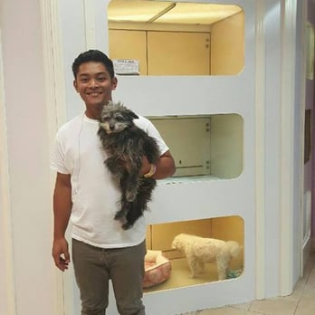 Escondido Pets - Pet Adoption Near Me - Escondido, California Escondido Pets - Pet Adoption Near Me - Escondido, California