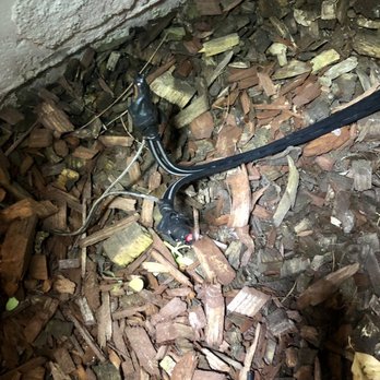 Tim Hensons Unique Lighting - Exposed wiring and duct tape - Electricians Near Me