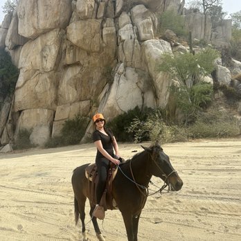 Cuadra San Francisco - Horseback Riding Near Me - San Jose del Cabo, BCS