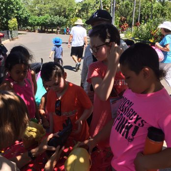 Honolulu Zoo - There was a naturalist on hand demonstrating the differences between human skulls, and the monkey skulls. - Zoos Near Me - Honolulu, Hawaii