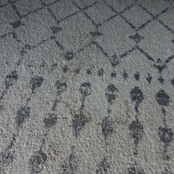 Tahoe Rental Company - Dog pee