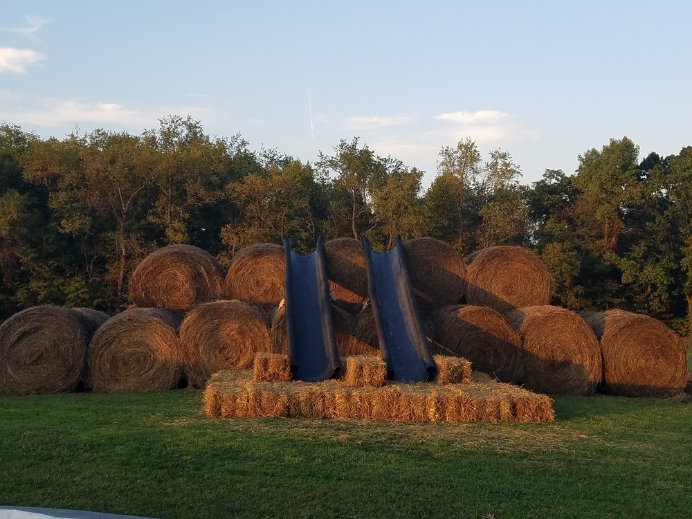 RENSHAW FARMS Updated May 2024 37 Photos 314 Ford City Rd, Freeport, Pennsylvania