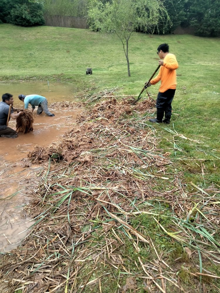 JOSEPH LANDSCAPING AND IRRIGATION Updated August 2024 29 Photos