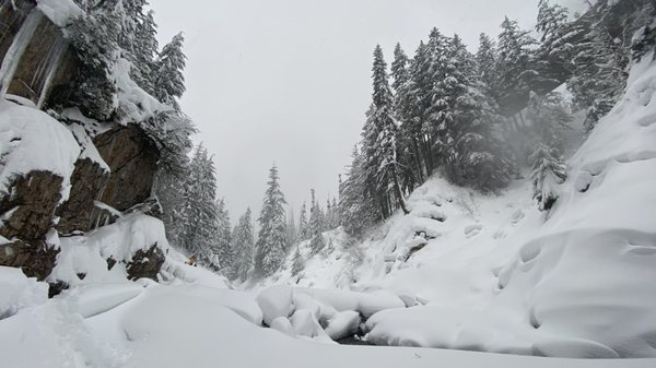 Franklin Falls Trailhead by null
