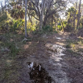 Charlotte Harbor Preserve State Park - Part of one of the trails - Parks Near Me - Punta Gorda, Florida Charlotte Harbor Preserve State Park - Part of one of the trails - Parks Near Me - Punta Gorda, Florida