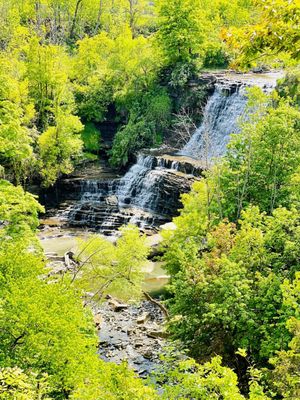 Albion Falls by null