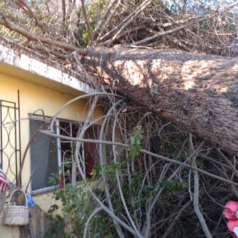 Pax Printers Repair - My big tree fell on my house, and now I need to send, pictures to the insurance co. - Electronics Repair Near Me - Escondido, California