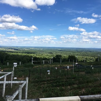 Berry Fields Farm - Bed & Breakfast Near Me - New Albany, Pennsylvania