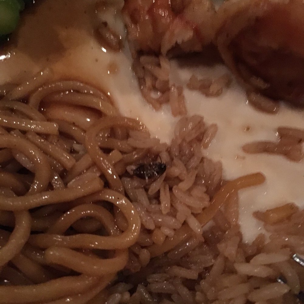 Buddha - Asian Fusion Near Me - Rye Brook, New York