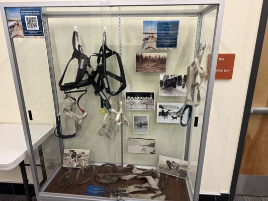 Seward Community Library & Museum by null