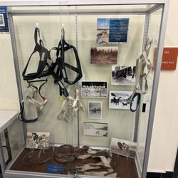 Seward Community Library & Museum - Hallway exhibit