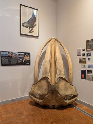 George B. Dorr Museum of Natural History by null