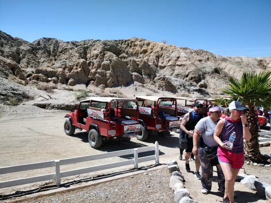 Red Jeep Tours | Desert Adventures by null
