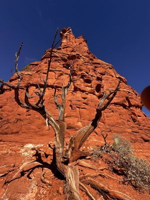 Boynton Canyon Trail by null