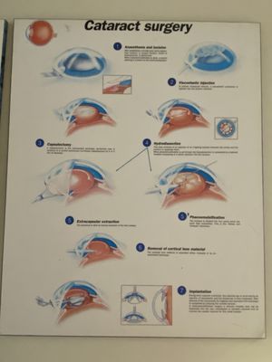 Toronto Western Hospital by null
