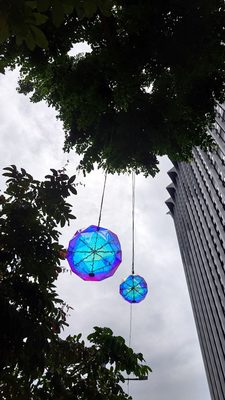 Orchard Rd by null