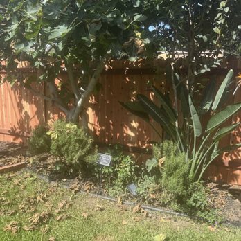 Legacy Fence - Fences & Gates Near Me - Santa Ana, California Legacy Fence - Fences & Gates Near Me - Santa Ana, California