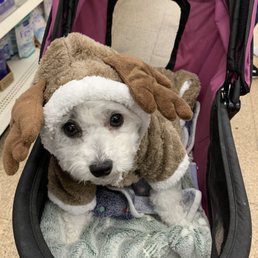 She loves to wear hats