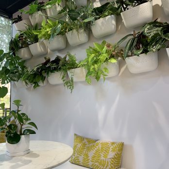 Covenant Coffee - Gorgeous plant wall! - Coffee & Tea Near Me - Bakersfield, California Covenant Coffee - Gorgeous plant wall! - Coffee & Tea Near Me - Bakersfield, California