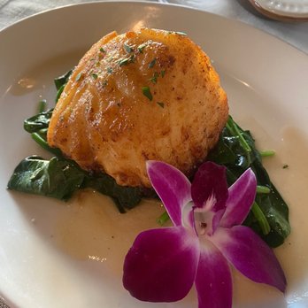 Bungalows Key Largo - Soooo good - Resorts Near Me - Key Largo, Florida