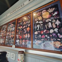 Far West Fungi - Posters/ merchandise for sale