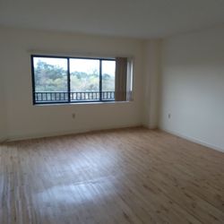 Forest Trace Senior Living - Living room