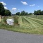 Photo of Chavas Landscaping
