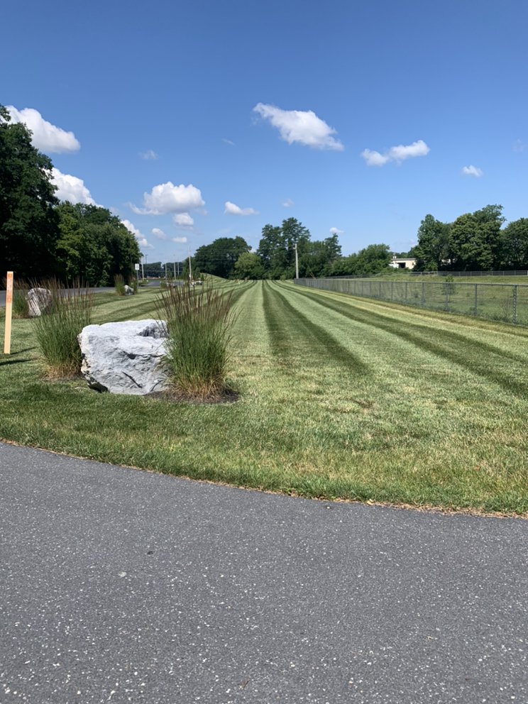 Chavas Landscaping - tree service in Lewisberry, PA