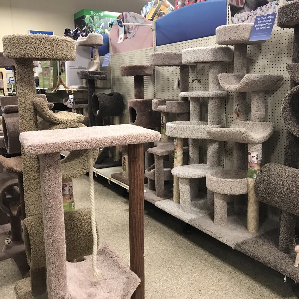 PetSmart - Pet Training Near Me - Orlando, Florida PetSmart - Pet Training Near Me - Orlando, Florida